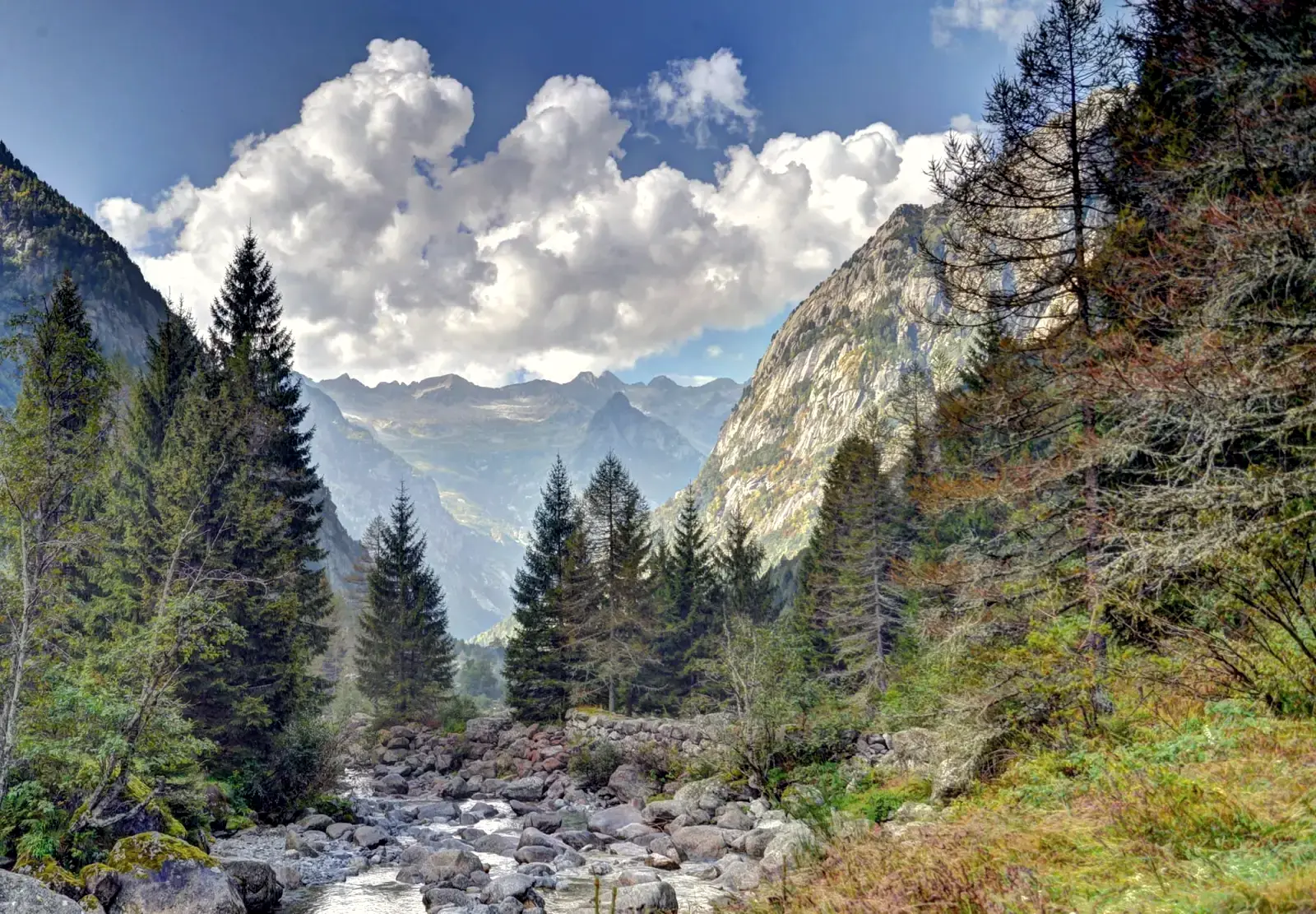 Scuola Survivor ed esperienze outdoor in Valtellina