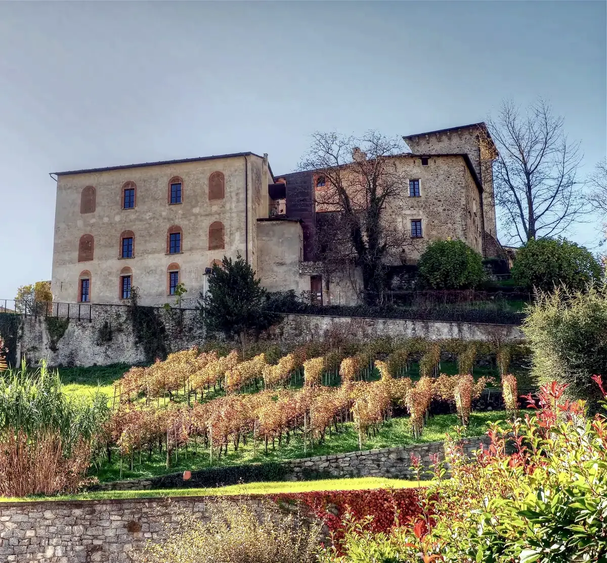 Castel Masegra tra i vigneti